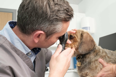 Dry Eye - What to do when Optimmune fails