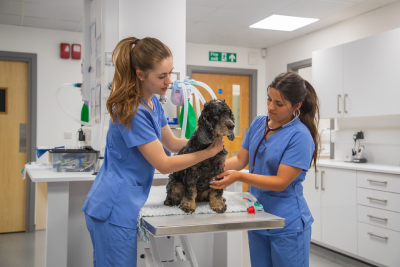 Case Based Discussions in Ophthalmology