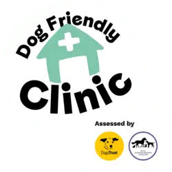 dog friendly clinic indent