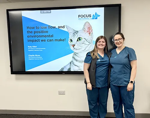 nurses cpd 01 october 2025
